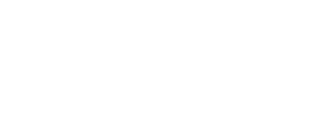 Uncle Skeeter's Gutter Cleaning Logo